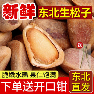 เมล็ดน้ำมันป่าสดเกรดพรีเมียมขนาดใหญ่ 500 กรัม ของ North Domain Treasure ขนมปังสดๆ อบสดๆ อบสดๆ อบสดๆ