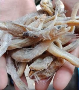 PROMO HARI INI GRATIS ONGKIR ikan asin kacangan murah 1 kg bisa bayar ditempat COD