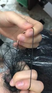 lưới bẫy chim tàng hình hàng thái lan bắt các loại chim chào màochim ri+chim trao trảo + khuyên v..v0