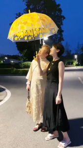 Transparent Umbrella Portable Compact Clear Umbrella with Stylish Design Lightweight Travel Umbrella for Women Men & Daily Outdoor Use