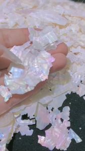 1 Kotak Shiny Sea Shell Dust Nail Art accessories Pecahan kulit kerang aksesoris hiasan kuku