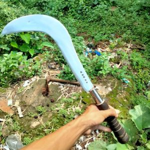 PELONG MADURA PELONG TANI PELONG PEMOTONG RANTING DAN BAMBU PELONG TEBANG KAYU PELONG BERSIH BERSIH HALAMAN SAWAH DAN LINGKUNGAN