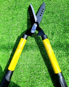 Kéo Cắt Tỉa Cành Cây Cảnh Cán Dài Có Thể Tăng Giảm Chất Liệu Thép SK5 Không Rỉ ( CÁN VÀNG ) - Lazada