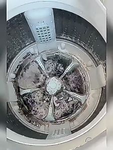 【In Stock】Newly Upgraded Washing Machine Oxygen Powder Sterilization And Descaling Special Washing Machine Cleaner Pembersih Mesin Cuci 洗衣机爆氧粉