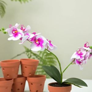 6 Pcs 4.5 inches Terracotta Orchid Pot with Drainage Holes for Repotting Indoor Outdoor Garden Succulents Air Circulation