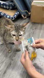 YTL อกไก่ต้ม อกไก่นึ่ง ขนมสำหรับสุนัขและแมว 40 กรัม มีคุณค่าทางโภชนาการ พร้อมรับประทาน