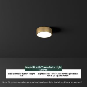 ZHENMEIJU | Modern Minimalist Copper Northern Light Ceiling