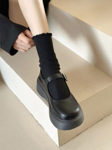 Retro Thick Heel Mary Jane Shoes Womens Spring 2025 New Japanese JK round Head Skirt Matching French Style Single Shoes