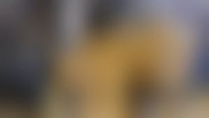 Baterai Laptop Sony Vaio: VPCEG25EA & VPCEG27FA