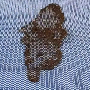 Busa Filter 8D Aquarium 30X40 Bio Media Nano Sponge Kapas Honeycomb Tahan Kucek Akuarium Kolam Ikan