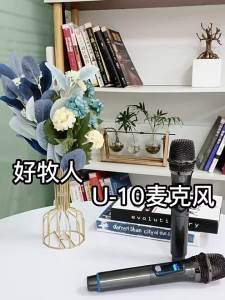 Haomuren | Micro Karaoke Chuyên Nghiệp Gia Đình