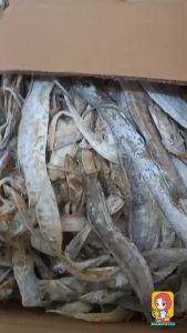 COD ikan asin layur bulat kering / ikan asin layur panjang murah 1 kg