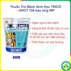 Thuốc Trừ Bệnh Sinh Học TRICÔ – ĐHCT 108 bào tử/g WP – Ngăn Ngừa Nấm Bệnh Thân Thiện Với Môi Trường (Gói 500g)