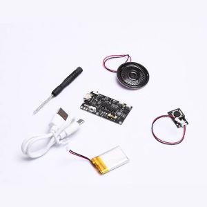 Aideepen | GC03 Recording Card Movement Creative Gift Box Christmas Birthday Card Music Cover MP3 Download Voice Module TYPE-C with Speaker