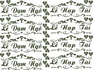 Tem dán dưa 3D dành cho đám cưới đám hỏi lễ nạp tài lễ dạm ngõ