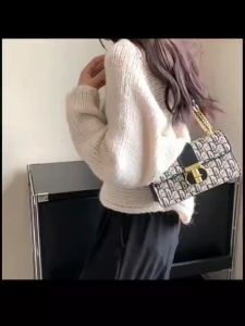 High-Quality Womens Bag 2024 New French Style Printed Chain Crossbody Bag