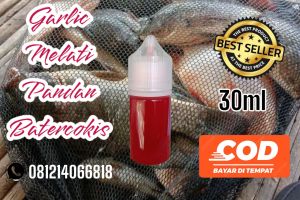 essen garlic melati pandan batercokis