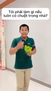 Viên Hương Thơm Long Não Thiên Nhiên 10 Viên – Giúp Giữ Không Gian Khô Thoáng Hạn Chế Chuột Gián