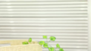 Stainless Steel Wire Ball 6 & 12pcs/pack 25G 30G Scrubber Dishwashing Wire Ball Kitchen Reusable Scrub Ball Cleaning Supplies