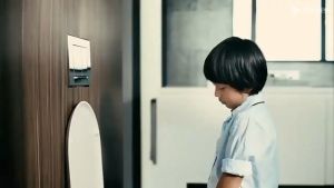 Japan Kobayashi Toilet Seat Disinfecting Cleaner Flushable Sheet Type 50pcs