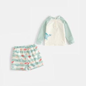 Boys Beach Swimwear Long Sleeve Quick Dry Separate Suit Childrens Summer New Style Sun Protection Swimming Costume Trendy Kids
