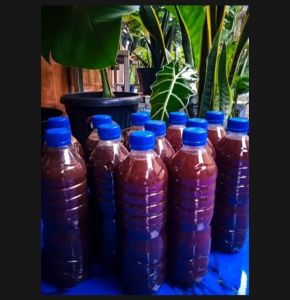 psb bakteri fotosintesis pupuk Cair 600 ml biang psb