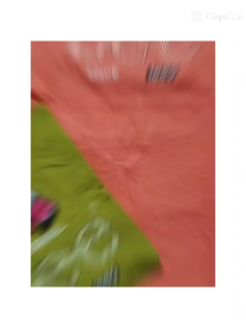 Overrun T-Shirts for Women (Ladies Cut)