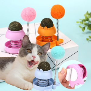 Cat Nip & Mint Ball Toy: A Comprehensive Guide