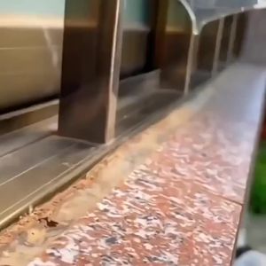 Keo Dán Cách Nhiệt Trong Suốt Chống Thấm Không Rò Rỉ Dùng Cho Sửa Chữa Mái Nhà Nhà Vệ Sinh Lớp Phủ Mạnh Mẽ Trong Suốt Không Nhìn Thấy Được