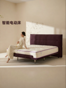 Intelligent Multi-functional Waist-Protecting Electric Bed