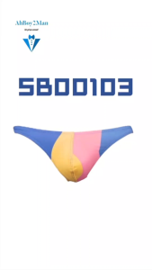 Mens Brief : Quad-Color Tone Bikini Underwear (Seobean SB00103)
