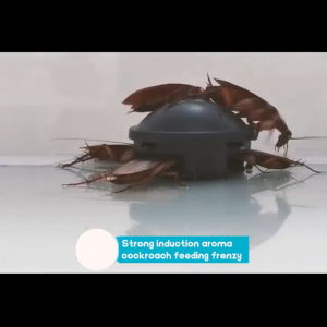 6Pcs/Box Cockroach Killer Bait Traps Little Black House Pest Safe Non-toxic Home And Kitchen Cockroach Removal Bait Trap Long Acting Kill Cockroach