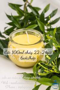 Hộp 6 cốc Nến bơ organic cao cấp Minh Khang ly hoa sen 100ml cháy 22-24 giờ