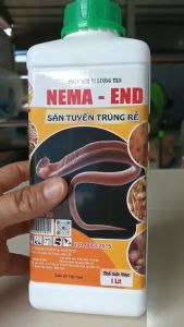 Nấm Săn Tuyến Trùng Rễ NEMA Săn Bắt Và Tiêu Diệt Tuyến Trùng Hại Rễ