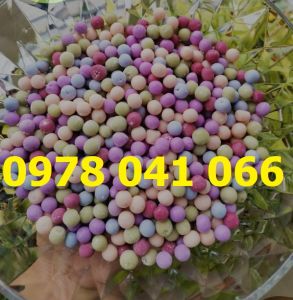 Máy làm viên trân châu khoai dẻo vo viên hoàn viên tinh bột nghệ DZ20