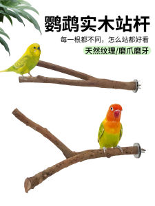 Natural Wood Parrot Standing Pole Tiger Skin Peacock Feeding Station Stick Bird Toy Biting Standing Pole Pet Parrot Supplies