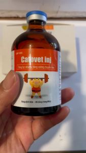 Green Vet Catovet(20ml-100ml) Tăng luc nhanh hoi suc phuc hoi suc khoe dùng cho vật nuoi thú y Green Vet Catovet 20Ml 100Ml Phục Hồi Sức Khỏe Cho Vật Nuôi Sản Phẩm Chăm Sóc Thú Cưng - Lazada