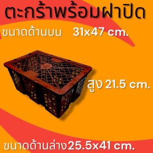 ตะกล้าพร้อมฝาปิด ขนาด 12x18x8.5 นิ้ว พร้อมฝาปิด คละสี พลาสติกอย่างดี ใส่ผลไม้ ต้นไม้ สินค้าใช้งานแล้ว สภาพดี