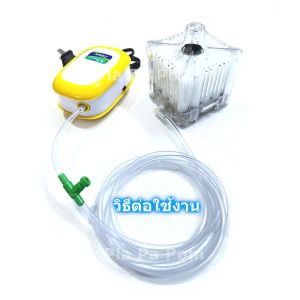 ปั๊มออกซิเจน ปั๊มลมตู้ปลา 1 ท่อ SOBO SB-9903 กรองน้ำตู้ปลา ขนาดใหญ่(L) กรองน้ำ น้ำใส ครบชุด ออกซิเจนตู้ปลา อ๊อกซิเจนปลา เลี้ยงปลา เลี้ยงกุ้ง ตู้ปลา