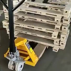 【Ready Stock】CHUANGCHAO Hydraulic Pallet Truck 3 ton Capacity Hand Pallet Jacklift standard size