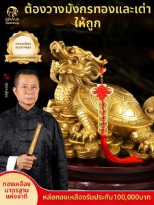 BINYUE | Feng Shui Brass Dragon Turtle Figurine