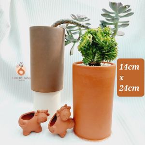 Chậu đất nung Bình Dương - Trụ cao 1424 đường kính miệng là 14cm chiều cao là 24cm