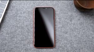 DUX PRIVACY/CLEAR TEMPERED GLASS Screen Protector for iPhone 17 16E 16 15 14 13 12 11 Plus Pro Max Air Mini X XR XS Max