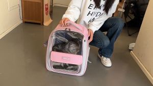 Fashionable Pet Carrier Bag Kucing Backpack Cat Travel bag Dog Portable Bag Visible Transparent Bag 猫包狗背包
