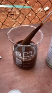 Phân bón VIGAMI CANXI BO 500ML đặc biệt - công thức cải tiến mới