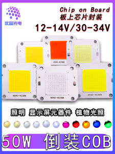 Youjingxi 4640 Ngược Cob Tích Hợp 50w Điốt Phát Sáng 12v Suốt Ánh Sáng Trắng Bột Đỏ Xanh Lá Đèn Xanh