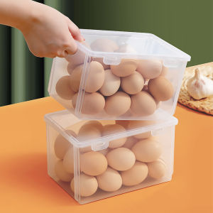 Food Grade Transparent Refrigerator Storage Box for Fruit Vegetables and Dumplings