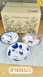 จาน ชาม เซรามิค ลายน่ารัก ลายแมว เข้าไมโครเวฟได้ มีหลายลายให้เลือก จานข้าว จานใส่ขนม ที่ใส่อาหาร 7 นิ้ว และ 6 นิ้ว