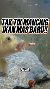 Extra Bonus | [Diskon Gila] Kail Pancing / Hook Zeuz Arbalest Chinu Type from Freshwater - Alat Pancing Cepat dan Andal