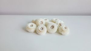 ดอกไม้ดูดน้ำหอม (หัวดอกบานชื่น ขนาด 4 cm.) ไม่ติดเชือก ดอกไม้ประดิษฐ์ DIY Sola Flower Reed Diffuser.